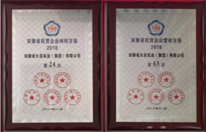 2018年安徽省民營企業(yè)百強，安徽省大名實業(yè)（集團(tuán)）有限公司榜上有名
